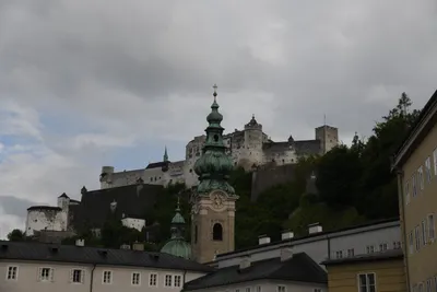 DSC_6335 (Large).JPG